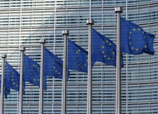 Bank climate risk stable as data quality improves, EBA finds EBA