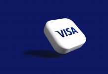 Visa’s $2.4bn BioCatch deal targets $1tn scam problem BioCatch