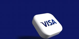 Visa’s $2.4bn BioCatch deal targets $1tn scam problem BioCatch