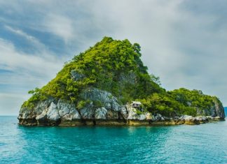 Evolution Equity leads $400m Series F in Island Evolution Equity leads $400m Series F in Island