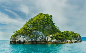 Evolution Equity leads $400m Series F in Island Evolution Equity leads $400m Series F in Island