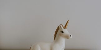 Upwind raises $250m, becomes first cloud security unicorn Upwind