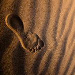 Footprint raises $25m as AI crime arms race heats up Footprint