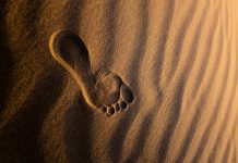 Footprint raises $25m as AI crime arms race heats up Footprint