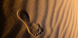 Footprint raises $25m as AI crime arms race heats up Footprint