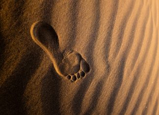 Footprint raises $25m as AI crime arms race heats up Footprint