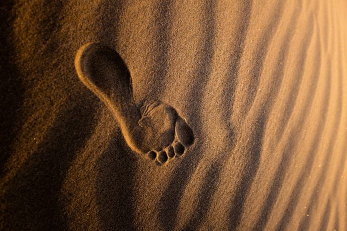jeremy-bishop--mMEEkgj5fU-unsplash Footprint