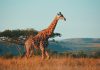 Instarc lands €1.25m to expand RegTech platform in South Africa Instarc lands €1.25m to expand RegTech platform in South Africa