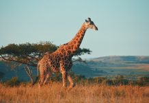 Instarc lands €1.25m to expand RegTech platform in South Africa Instarc lands €1.25m to expand RegTech platform in South Africa