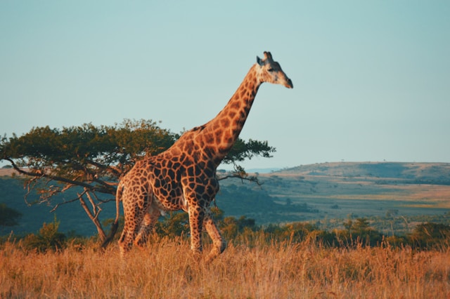 Instarc lands €1.25m to expand RegTech platform in South Africa