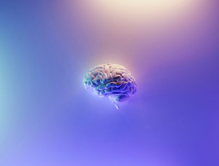 milad-fakurian-58Z17lnVS4U-unsplash MIND