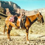 Mule chains expose blind spots in single-account AML monitoring Mule chains expose blind spots in single-account AML monitoring